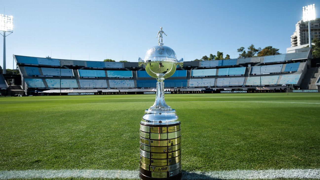 Imagen principal de Libertadores | Fechas y horarios